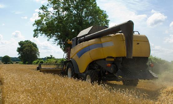 农业经济行业发展如何?2023年农业经济形势总体良好