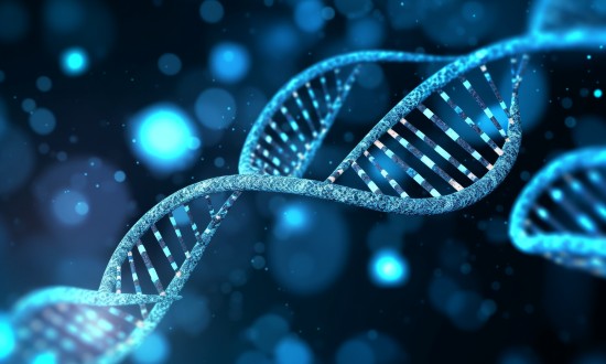 2024年中国遗传基因检测行业产业链上下游结构及重点企业