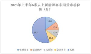 新能源客车行业现状及前景分析2024