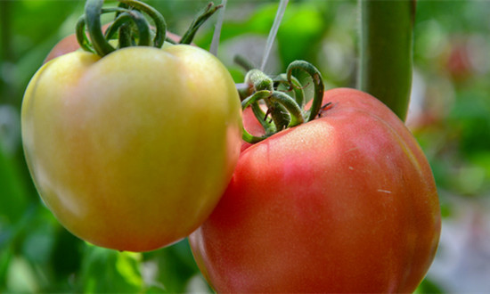 产品认证行业市场发展现状及趋势分析