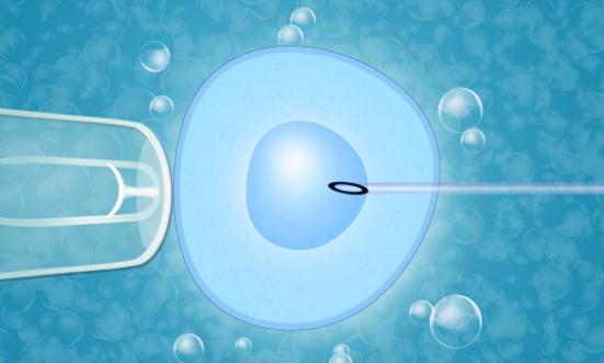 2024辅助生殖行业未来发展趋势及投资前景分析