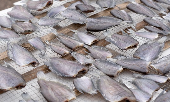 2024年中国干制鱼片行业产业链上下游结构及重点企业