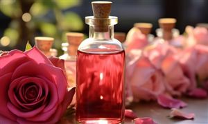 2024年中国玫瑰精油行业产业链的上下游结构及重点企业