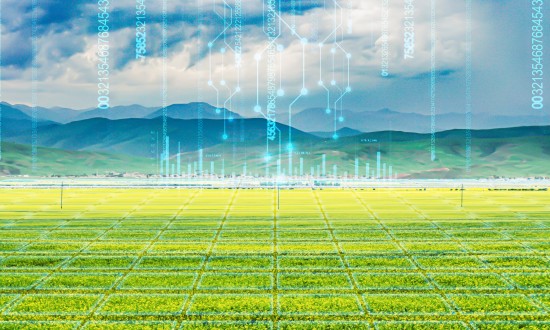 2024年中国农村信息化行业产业链供需布局分析及重点企业