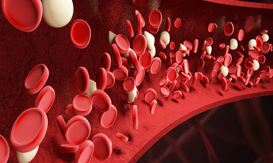 抗贫血药市场深度调查研究报告