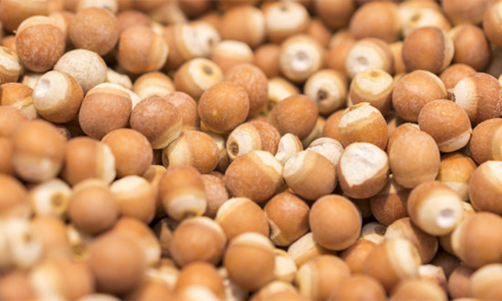 芡实种植行业发展现状及市场分析