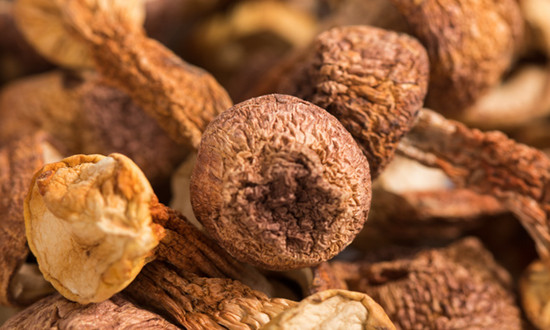 姬松茸市场发展潜力巨大 姬松茸种植行业发展前景分析