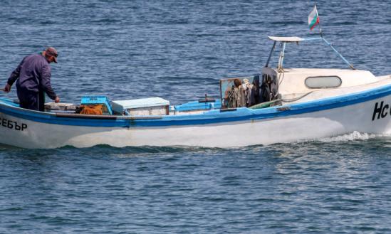 海洋渔业行业深度调研及发展预测2024