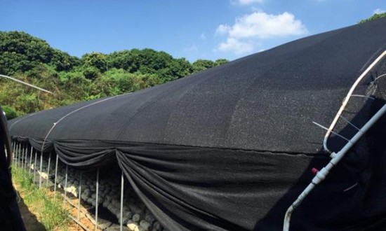 2024年中国遮阳网行业产业链上下游结构及发展前景