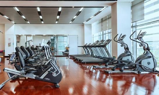 健身单车行业发展现状及需求分析2024