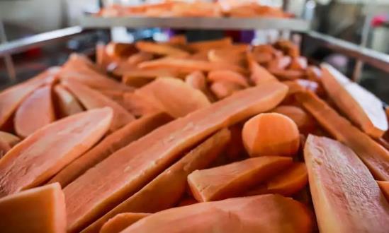 红薯深加工产业链分析、投资价值