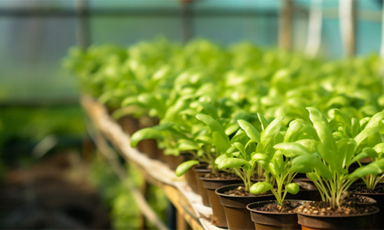 恒温培养箱行业市场竞争状况及未来发展趋势