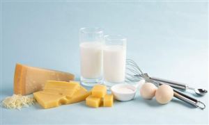 2024乳制品产业发展现状及进出口市场分析