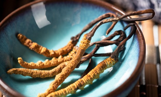 2024年中国冬虫夏草行业市场发展现状及发展前景