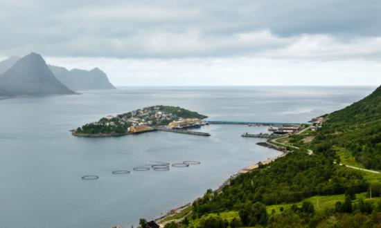 我国水网建设产业现状及发展规划调研