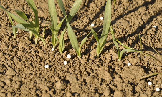 2024中国磷酸铵行业市场发展分析