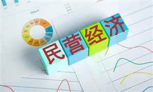 2024年中国民营经济行业产业链上下游结构及重点企业