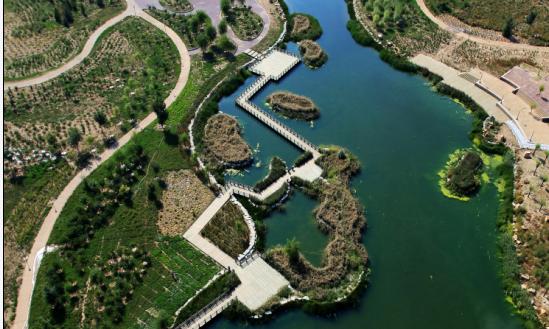 园林规划行业市场全景调研与发展前景预测2024