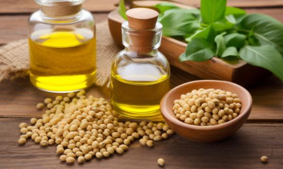 2024中国大豆油行业发展前景及深度调研分析