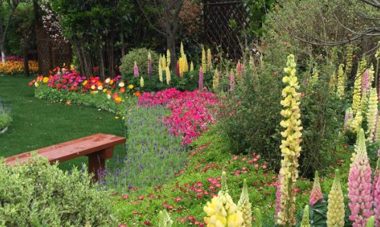 植物园建设行业深度调研及发展方向：2023年全国国土绿化面积超800万公顷