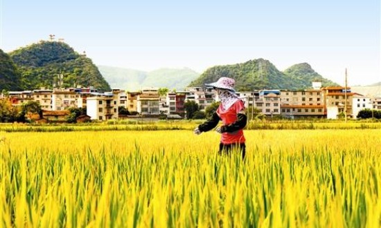 2024年中国村镇经济行业市场发展现状及发展前景