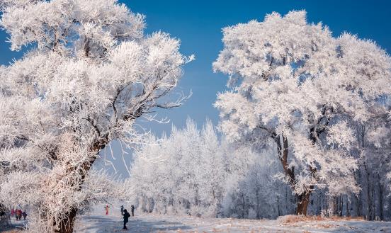 2024冰雪旅游行业发展前景调研：冰雪经济走上可持续发展之路