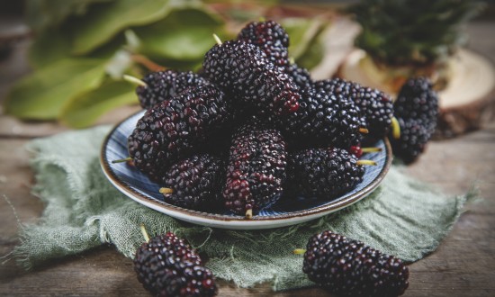 2024年中国桑葚行业市场发展现状及发展趋势