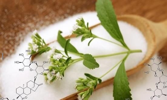 2024甜菊糖苷行业发展现状及趋势研究