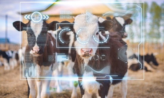 2024年智慧养殖产业链的上下游结构及发展趋势