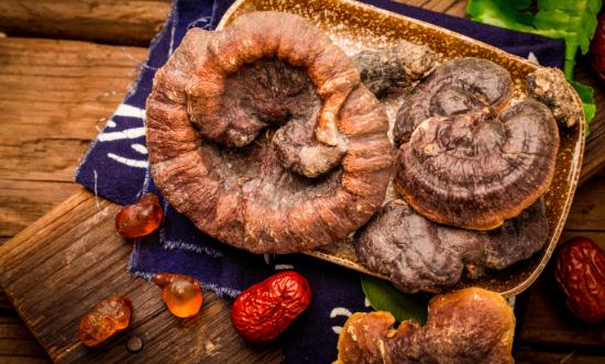 灵芝行业未来趋势及前景分析 科技创新将继续引领灵芝行业的发展