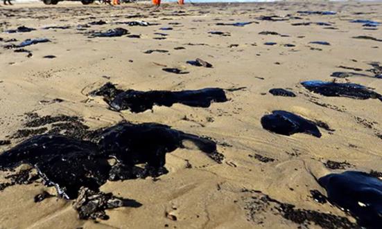 2024含油污泥行业专项调研、发展前景趋势