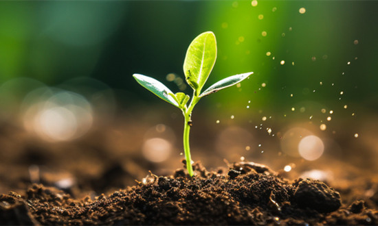 农林保水剂行业市场研究分析及未来投资前景