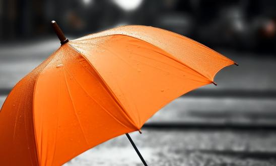 我国雨伞产业市场格局变化分析2024