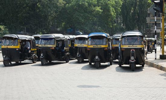 2024年三轮车行业市场深度分析及发展趋势调研