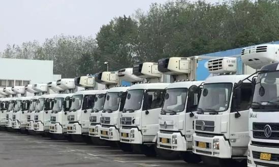 冷链物流产业规划研究报告：2024年加强冷链物流设施建设