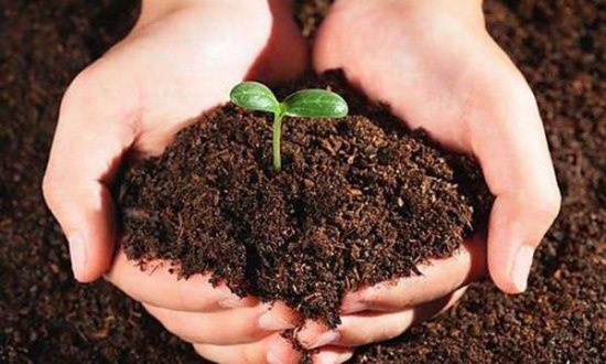 2024年中国土壤修复行业市场发展现状及发展趋势