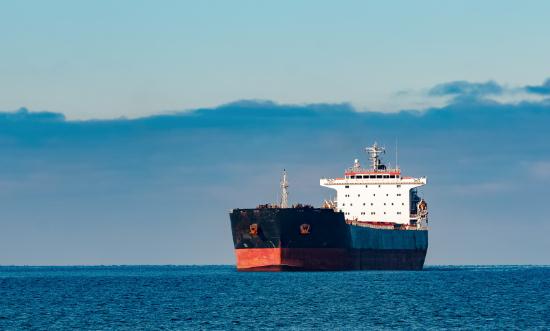 2024散货船行业进出口市场及未来发展趋势、前景预测