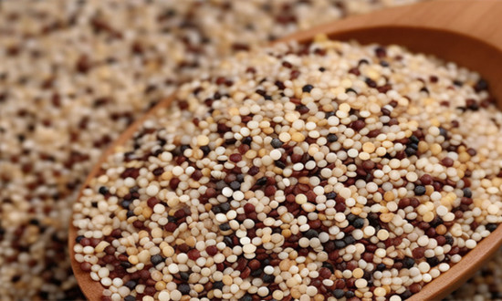 藜麦行业市场发展分析：青海省首个藜麦种子生产经营许可证落户乌兰