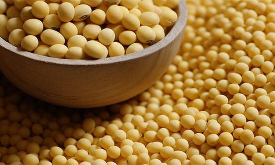 大豆核酸应用领域及行业市场状况分析