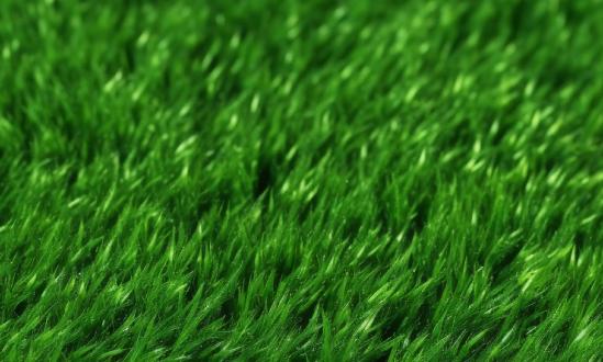 人造草坪产业发展分析：国内人造草坪市场需求也在不断增