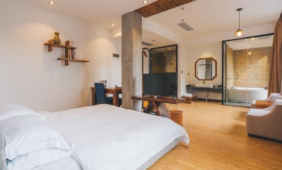 民宿行业市场发展现状及消费者画像分析2024