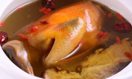 肉鸽养殖行业报告 肉鸽养殖行业深度分析