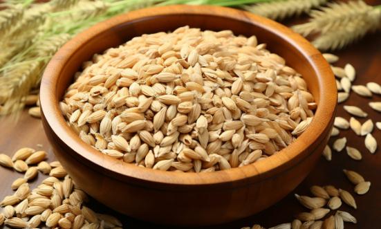 2024种子行业发展现状及进出口市场分析