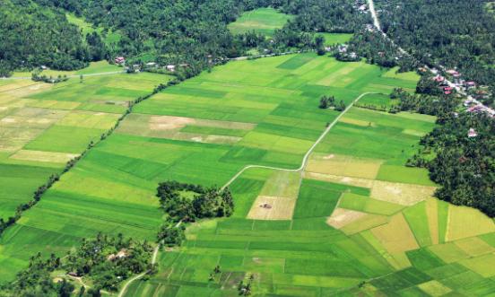 中国观光农业行业市场分析：产品定位不断更新和多元化