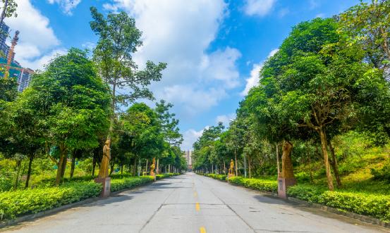 社区服务行业报告 社区服务行业政策环境分析