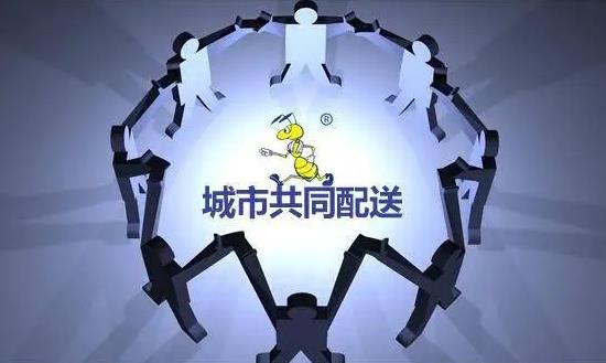 2024城市配送行业深度调研及未来趋势