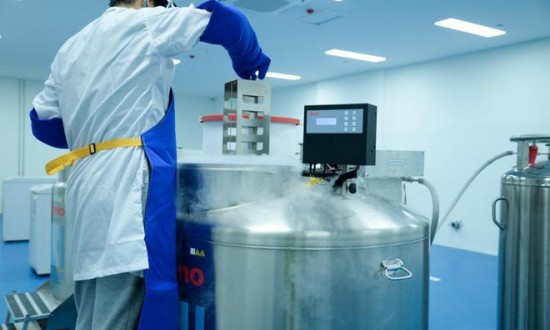 2024年中国免疫细胞存储行业的产业链供需布局及发展前景