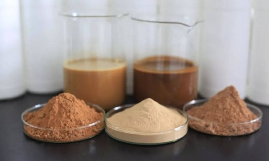 2024年中国酶制剂产业链供需布局及市场发展现状