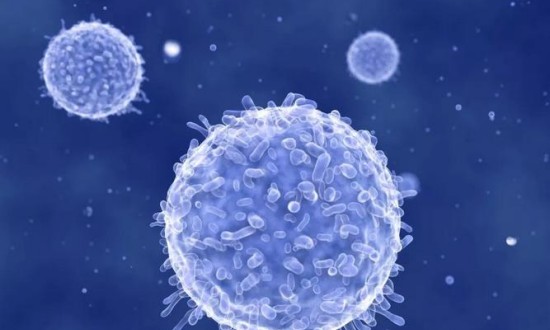 2024年细胞免疫产业链的供需布局及发展趋势