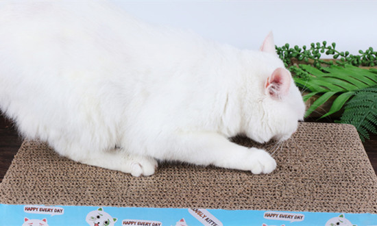 中国宠物用品行业市场调查分析：智能养宠设备颇受关注 2024年市场规模预计为443.4亿元